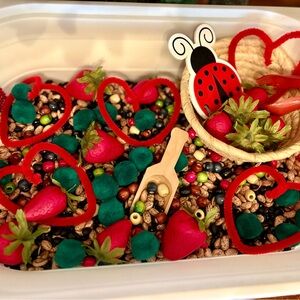 Strawberry and Ladybug Sensory Bin Filler